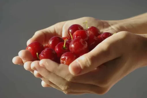 Organic Acerola Cherry Extract Powder: 100g-1kg – Vitamin C, Antioxidants - Image 3
