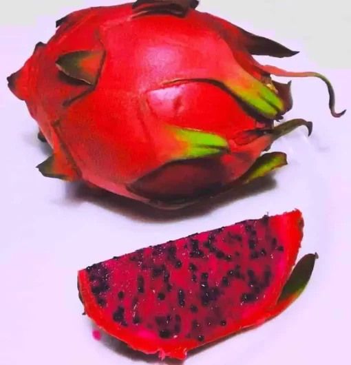 Organic Red Pitaya Juice Powder: 100g–1kg – Pink Dragon Fruit Superfood - Image 5