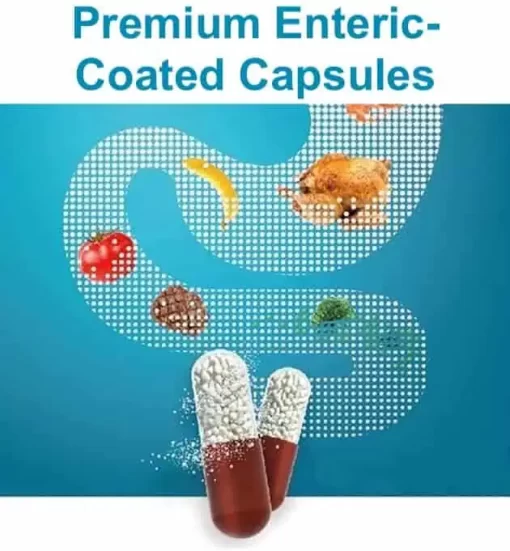 Enteric-Coated Hard Gelatin Capsules – Size 1 – Delayed Release - Image 3