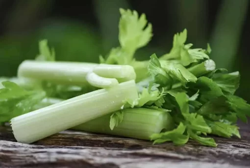 Organic Celery Seed Powder Extract: 100g–1kg – Circulation & Mobility Support - Image 2