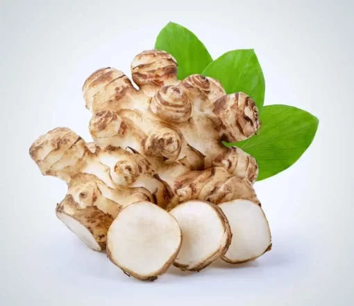 Organic Inulin 95%: 100g-1kg – Prebiotic Fiber, Sunchoke Extract - Image 2