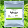 Lotus Leaf Extract Organic 20x Nuciferine