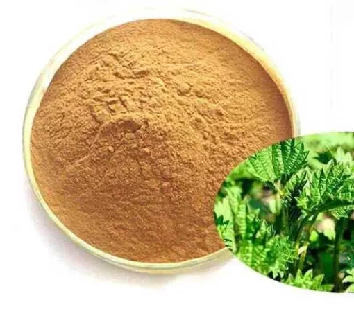 Organic Nettle Extract Powder: 100g-1kg – Joints, Prostate, Vitality - Image 3