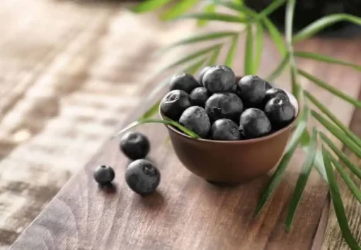 Organic Acai Berry Juice Powder: 100g-1kg – Antioxidants, Anthocyanins - Image 3