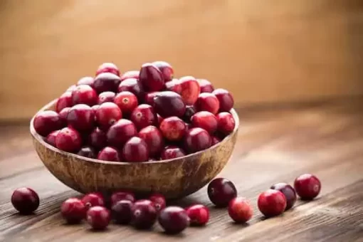 Organic Cranberry Juice Powder: 100g–1kg – Polyphenols & Women’s Health Support - Image 2