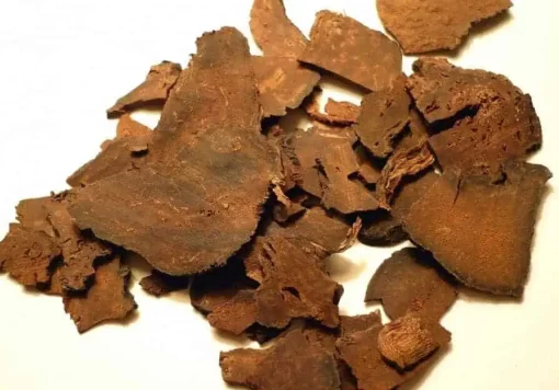 Organic Fo-Ti Plant Extract Pieces