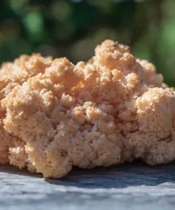 Organic Lion's Mane Mushroom