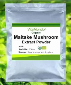 Organic Maitake Powder Extract 20x