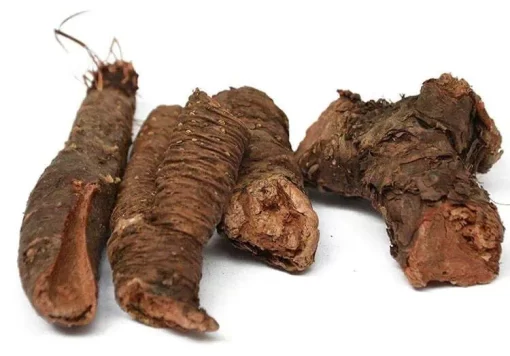 Organic Rhodiola Rosea Root Extract: 100g–1kg – Energy & Stress Support - Image 2